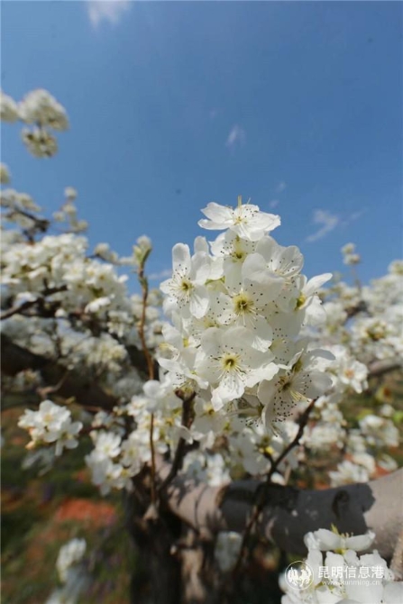 微信圖片_20200329121100 微信圖片_20200329121100