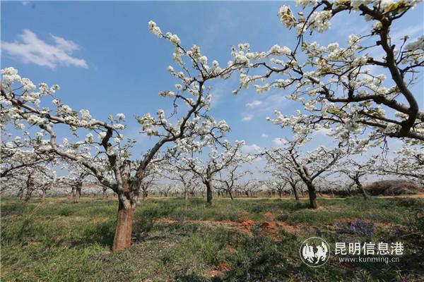 微信圖片_20200329121127 微信圖片_20200329121127