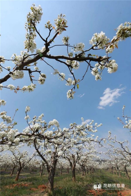 微信圖片_20200329121206 微信圖片_20200329121206