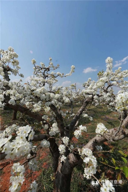 微信圖片_20200329121052 微信圖片_20200329121052