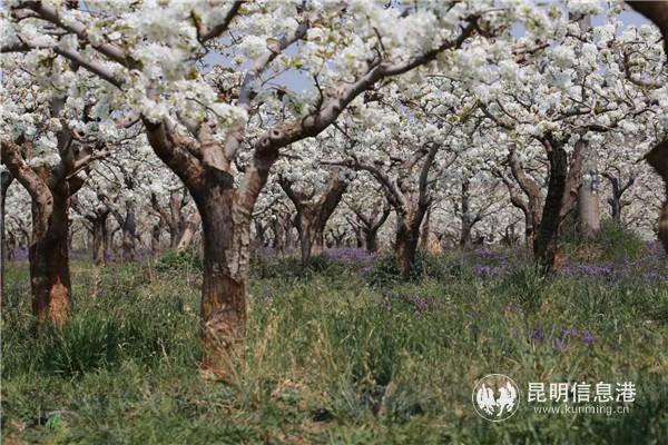 微信圖片_20200329121247 微信圖片_20200329121247