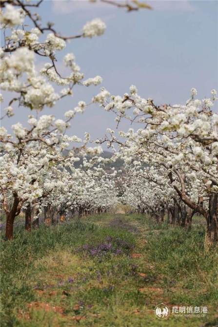 微信圖片_20200329121258 微信圖片_20200329121258