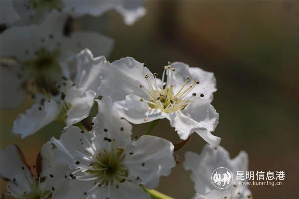 微信圖片_20200329121319 微信圖片_20200329121319