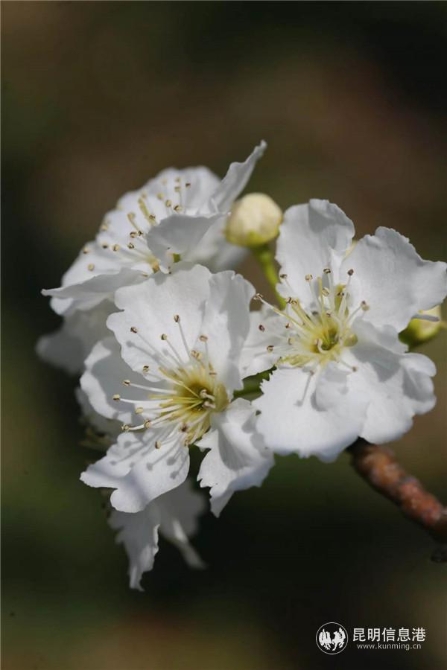 微信圖片_20200329121348 微信圖片_20200329121348