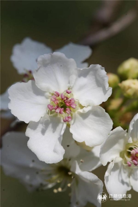 微信圖片_20200329121416 微信圖片_20200329121416