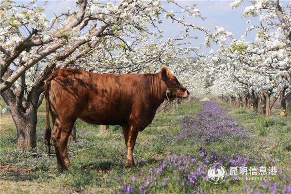 微信圖片_20200329121441 微信圖片_20200329121441