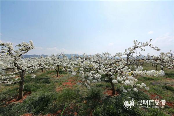 微信圖片_20200329121500 微信圖片_20200329121500