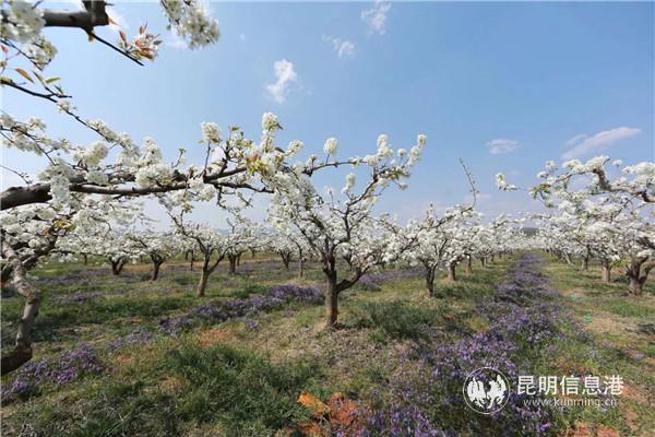 微信圖片_20200329121650 微信圖片_20200329121650