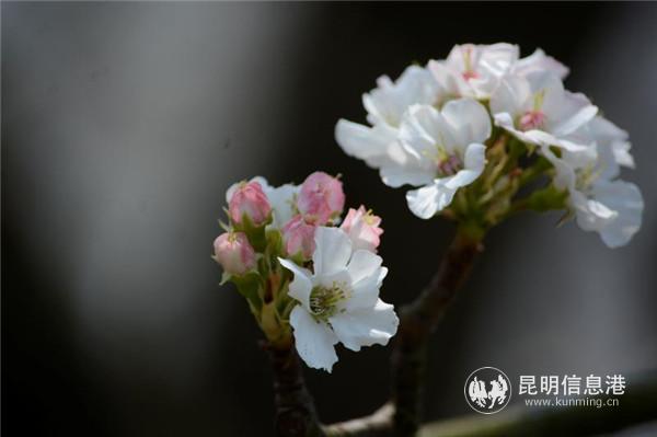 微信圖片_20200329122033 微信圖片_20200329122033