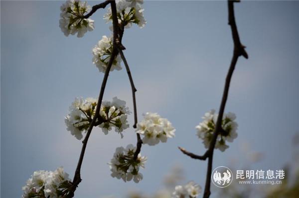 微信圖片_20200329122108 微信圖片_20200329122108