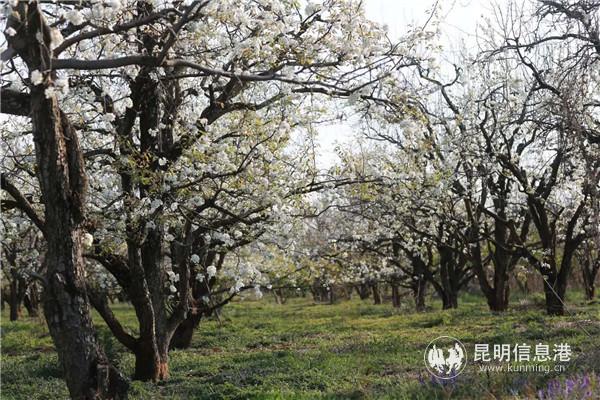 微信圖片_20200329122621 微信圖片_20200329122621