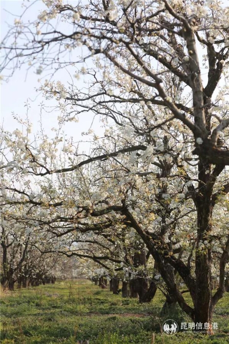 微信圖片_20200329122634 微信圖片_20200329122634