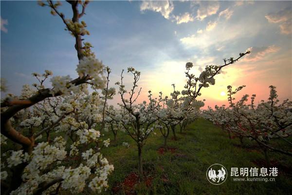 微信圖片_20200329122724 微信圖片_20200329122724