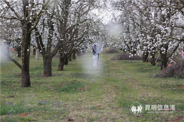 微信圖片_20200329122742 微信圖片_20200329122742