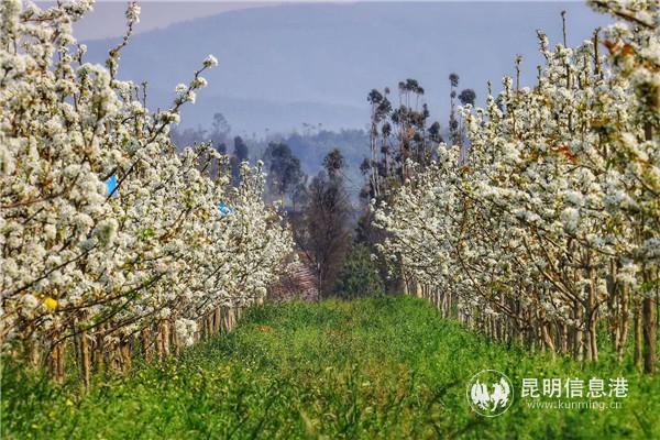 微信圖片_20200329133508 微信圖片_20200329133508