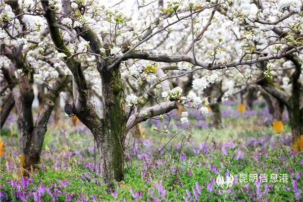 微信圖片_20200329133543 微信圖片_20200329133543