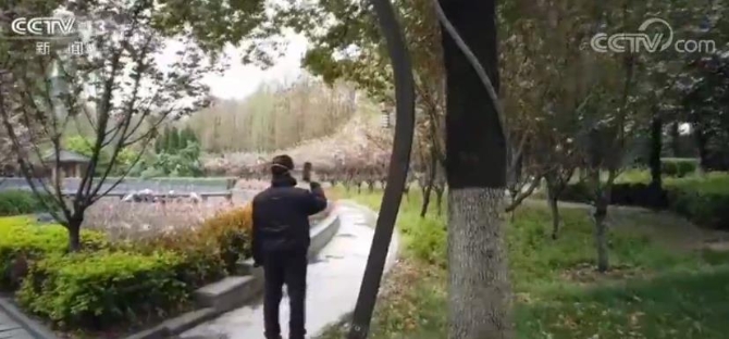 2020033008412372109 2020033008412372109