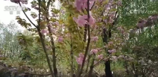 2020033008412113862 2020033008412113862