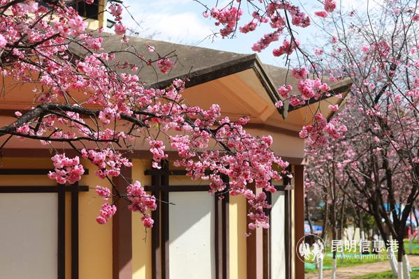 微信圖片_20200313200809