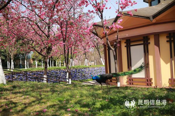 微信圖片_20200330160706