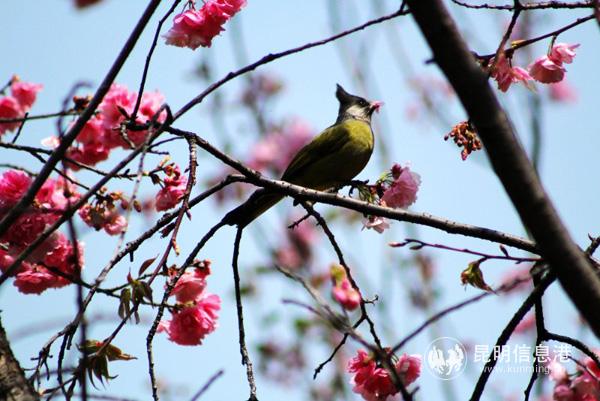 微信圖片_20200330011416