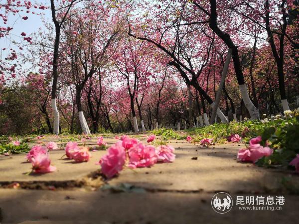 微信圖片_20200330012635