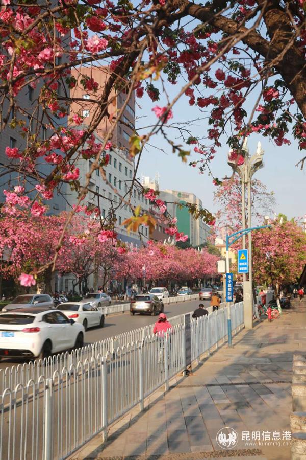 微信圖片_20200330014554