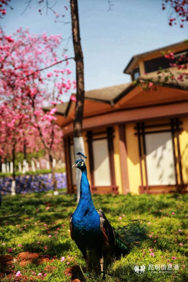 微信圖片_20200330014712