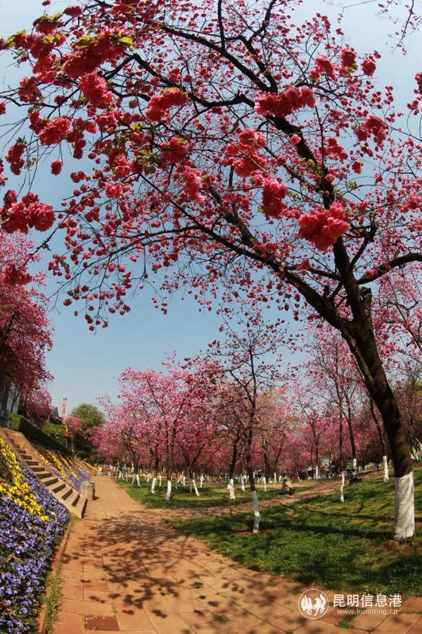 微信圖片_20200330014611