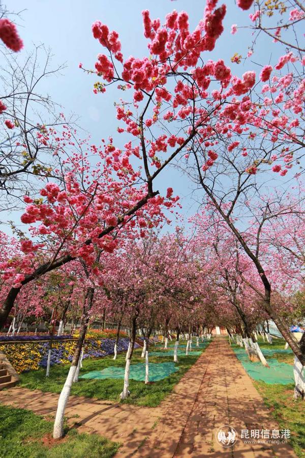 微信圖片_20200330014629