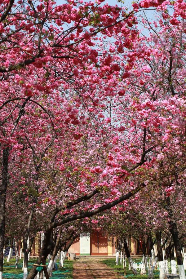 微信圖片_20200330014652