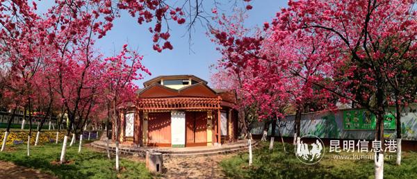 微信圖片_20200330011432