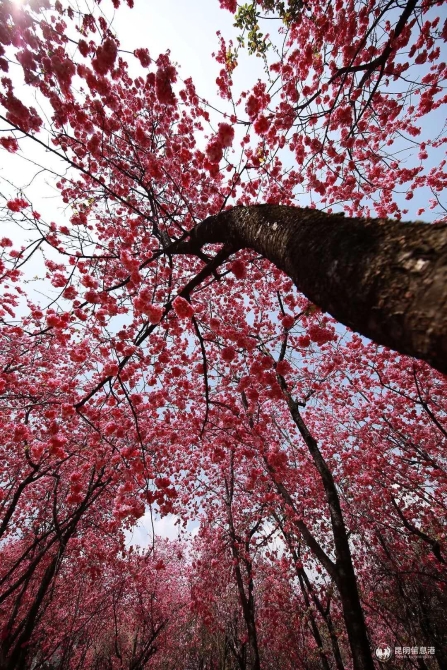 微信圖片_20200330014809