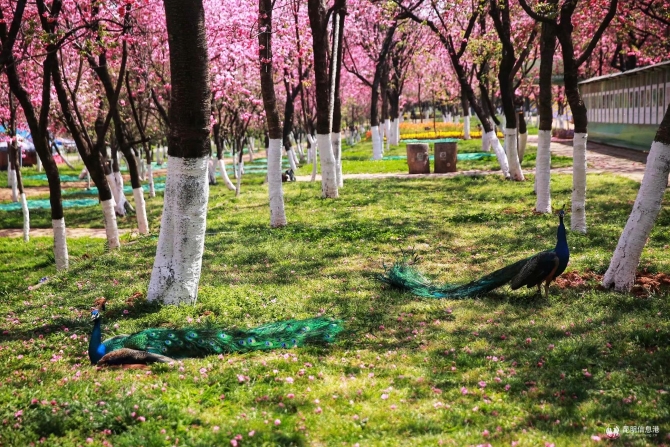 微信圖片_20200330160609