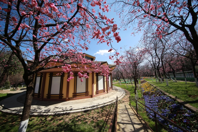 微信圖片_20200313200901