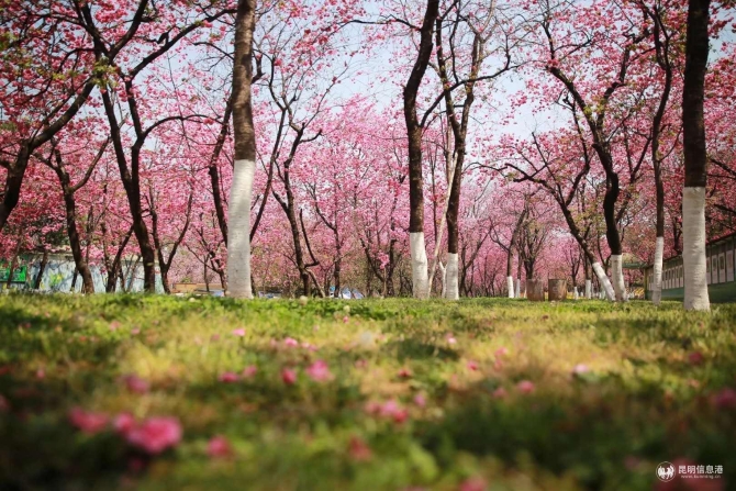 微信圖片_20200330014746