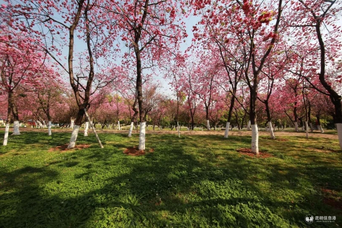 微信圖片_20200330014733