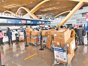 2020033104_res08_attpic_icon 2020033104_res08_attpic_icon