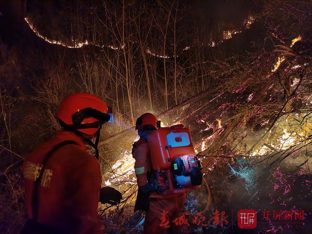 大理南澗森林火災(zāi)