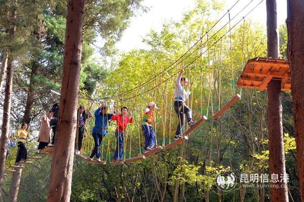 營地景區(qū)01 營地景區(qū)01