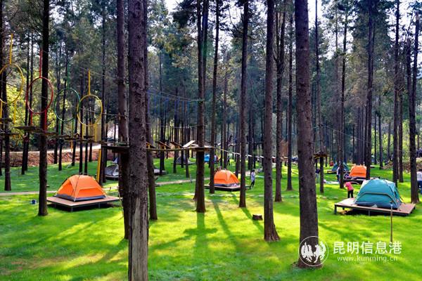 營地景區(qū)02 營地景區(qū)02