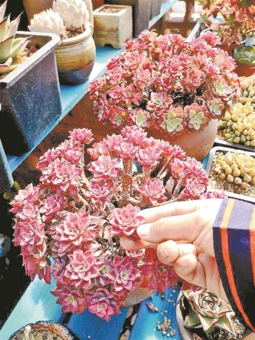 2020040207_res11_attpic_brief 2020040207_res11_attpic_brief