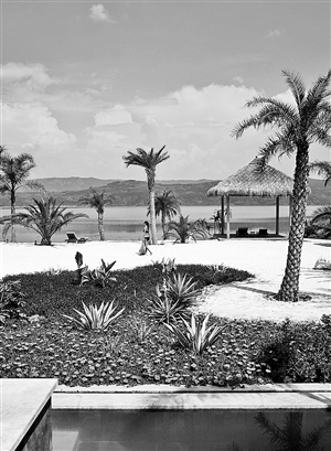 2020040304_res20_attpic_icon