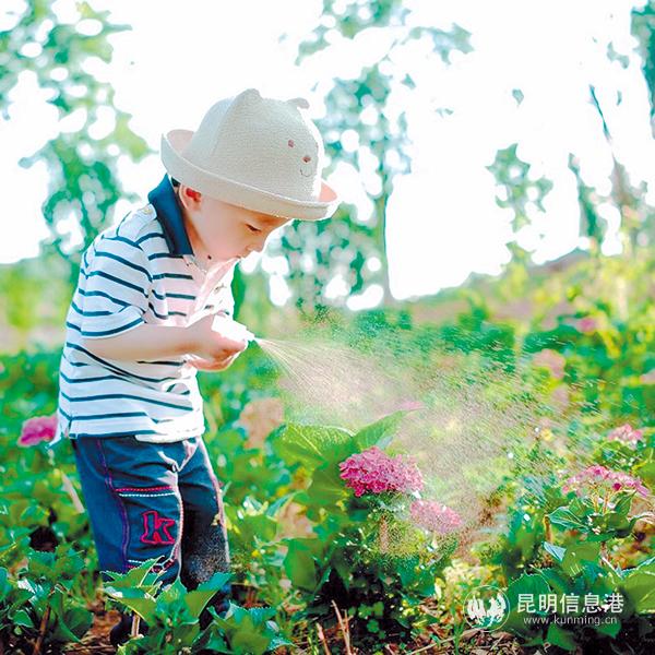 作者:臉盲十級(jí) 作者:臉盲十級(jí)