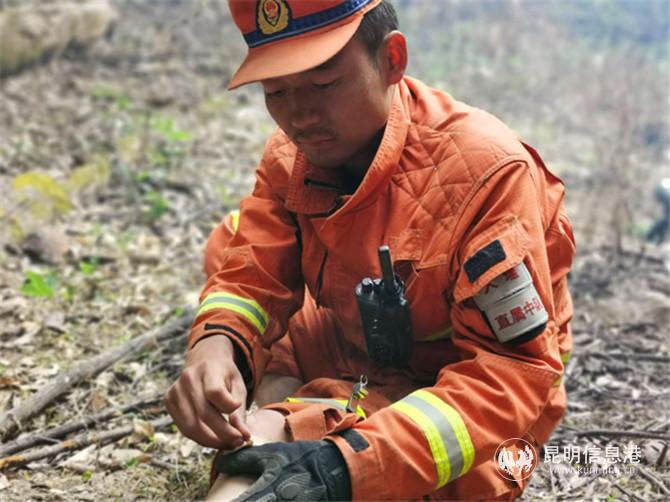 1、和濤滅火期間腿被滾石砸傷仍然堅(jiān)持沖在第一線(xiàn)