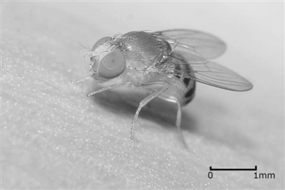 430684_wangjj_1585793257794_b 430684_wangjj_1585793257794_b