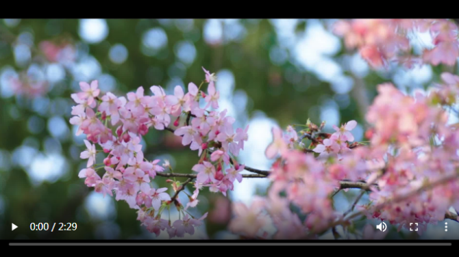 微信截圖_20200403122840 微信截圖_20200403122840