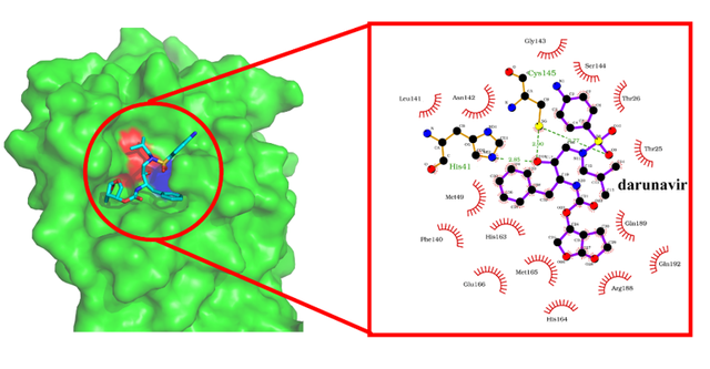 大理大學(xué)結(jié)構(gòu)生物信息學(xué)創(chuàng)新團(tuán)隊科研攻關(guān)助力抗擊新冠疫情