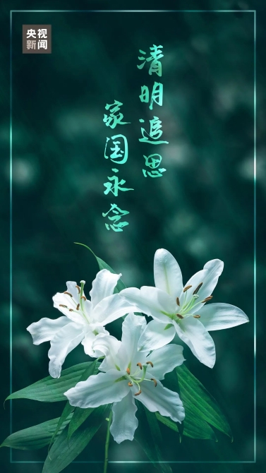 “你替我好好活著！”再聽到這句話，依然如此感動