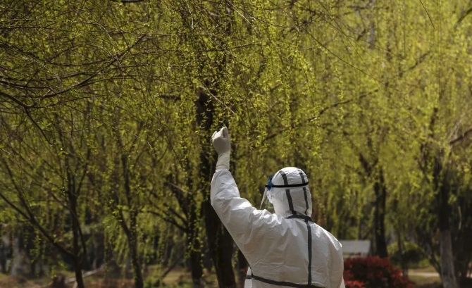 角落里，閃亮著耀眼的光芒